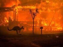 Австралию вновь охватили лесные пожары