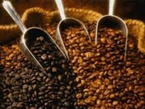 В ЕС могут уничтожить тысячи тонн кофе