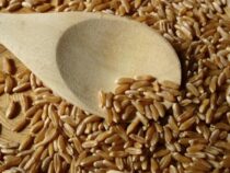 РФ может запретить вывоз пшеницы. Как это отразится на Кыргызстане?