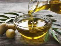 Кризис оливкового масла в Италии: цены повысили в 2 раза