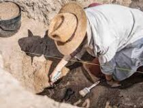 Каменный топор возрастом около 200 тысяч лет  нашли археологи на севере Саудовской Аравии