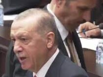 Телохранитель нейтрализовал пчелу, севшую на спину Эрдогана