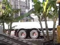 Японец вырастил банановые деревья посреди городской дороги