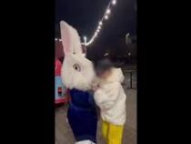 Кролик из «Алисы в Стране чудес» избил пьяного хулигана в Красноярске