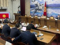 Парламентский комитет поддержал изменение флага Кыргызстана