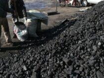 Цены на уголь в Бишкеке: где и почем его можно купить
