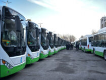 Мэрия Бишкека планирует создать несколько кольцевых автобусных маршрутов