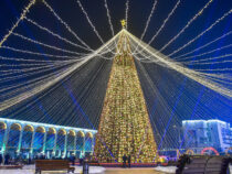 В Бишкеке зажгли новогоднюю елку