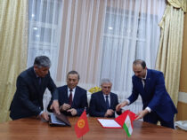 Кыргызстан и Таджикистан согласовали еще почти 12 километров госграницы