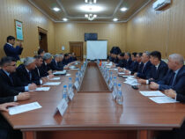 Кыргызстан и Таджикистан согласовали еще 24 км госграницы