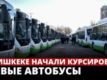 В Бишкеке начали курсировать новые автобусы №102 и №162