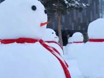 500 снеговиков построили в китайской провинции
