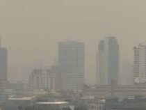 Жители  Бангкока задыхаются от смога
