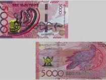 В Казахстане вводят в обращение новую купюру — 5000 тенге
