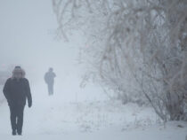 -33⁰. Самая низкая температура в Кыргызстане отмечена в селе Жаны-Жер