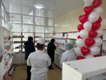 В городе Кара-Куль открылась госаптека «Эл Аман»