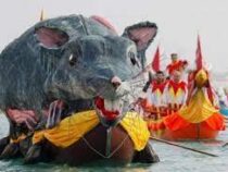 Венецианский карнавал возглавила гигантская крыса