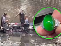 В Китае отец жениха уронил кольцо стоимостью 140 тысяч долларов в канализацию
