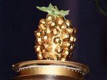 Названы номинанты антипремии «Золотая малина»