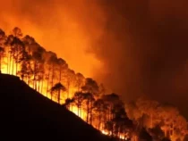 Лесные пожары охватили национальный парк Лос-Алерсес
