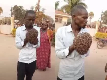 В Уганде колдунья наслала на преступника рой пчел