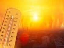 2024 году предрекли звание самого жаркого в истории