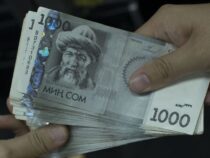 Средняя зарплата в Кыргызстане составила 32 тысячи 142 сома