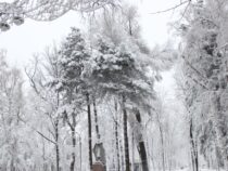 На Бишкек  обрушился снегопад