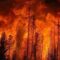 Природный пожар в Техасе стал вторым по величине за всю историю наблюдений