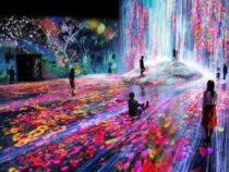 Знаменитый музей цифрового искусства вновь откроет свои двери в Токио