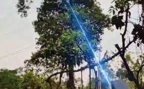 В Китае деревья пилят лазером