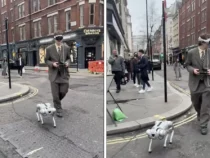 Необычный пешеход в Лондоне привлек внимание прохожих