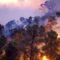 Мощные природные пожары охватили американский Техас