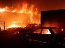 Число жертв лесных пожаров в Чили возросло до 122