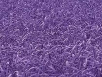 В России вывели пшеницу с фиолетовым зерном