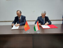 Кыргызстан и Таджикистан согласовали еще один участок границы