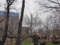 В Бишкеке объявлен режим ЧС