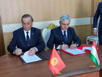 Кыргызстан и Таджикистан согласовали еще более 10 километров госграницы