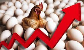 Цены на яйца в мире продолжают неуклонно расти