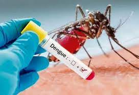 ГМО-комары борются с эпидемией лихорадки денге в Бразилии