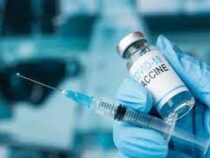 Ученые в шоке от немца, получившего 217 прививок от ковида