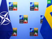 Швеция официально станет 32-м членом НАТО 7 марта