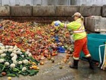 Ежедневно в мире в мусор выбрасывают миллиард порций еды