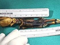 В Колумбии нашли необычную мумию, внешне напоминающую пришельца