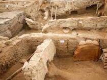 Кусок древнейшего в мире хлеба нашли в Турции