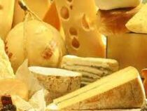 Нидерланды побили мировой рекорд по производству сыра