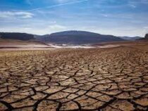 Режим ЧП введен в Сицилии из-за продолжительной засухи