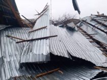 Комиссия проведет оценку ущерба от сильного ветра в Бишкеке