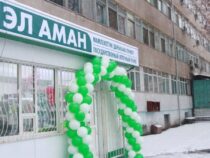 Пять госаптек открыли в Ошской и Джалал-Абадской областях