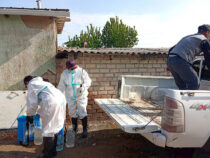 В Оше проводят активную работу по дезинфекции мест, пострадавших от селей